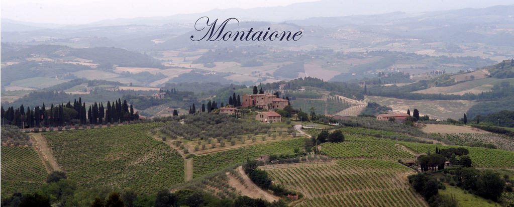 cacciare il cinghiale a Montaione